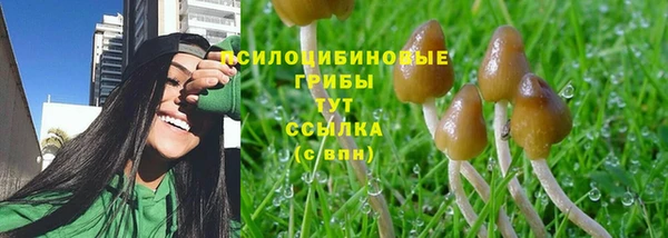 трава Алексин
